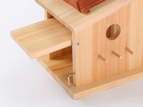 Modern Birdhouse Woodworking Kit, Build Your Own DIY Bird House Kit for Kids and Adults, DIY Woodcraft Building Projects with Paint Set - Image 6