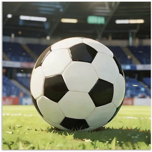 CRZMODE Soccer Paint by Numbers Kit for Adults, Soccer Paint by Numbers for Adults, Acrylic Painting Crafts for Home Decor Gift (16x16inch) by Unknown