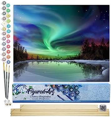 Figured'Art Paint by Numbers Kit for Adults Aurora Borealis and Lake 16"x20" - Craft Art Painting Rolled Canvas with DIY Wooden Frame by FiguredArt