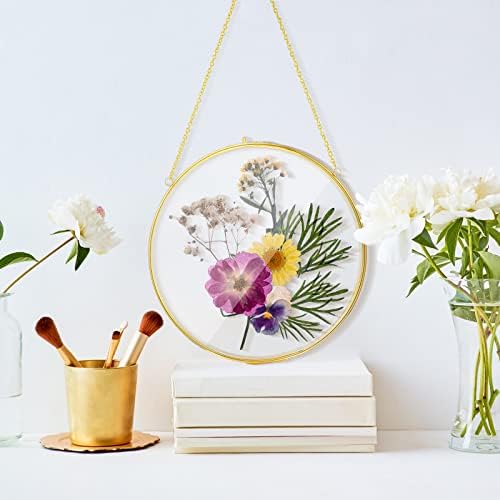 8 Inch 4 Pcs Pressed Flower Frames Double Glass Frame Wall Decor, Gold - Image 6