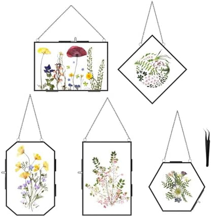 FOCHIER F 5 Pcs Pressed Flower Frames with Tweezers, Wall Hanging Tabletop Display Double Glass Frames with Metal Chain for Pressed Dried Flowers Plants, Horizontal and Vertical Picture Frame, Black by FOCHIERF