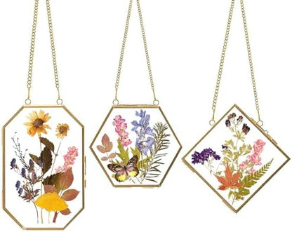 Apipi Hanging Glass Frames for Pressed Flowers Crafts with Sturdy Chain by Apipi