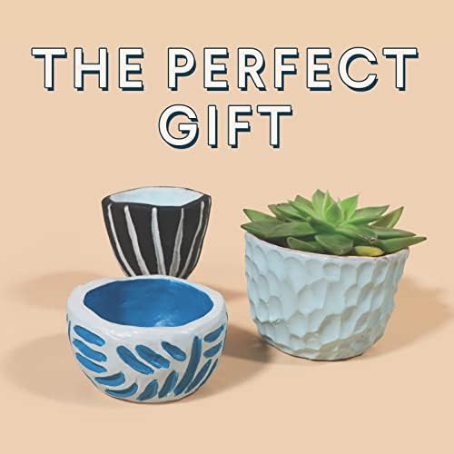 noah Pottery Kit for Beginners - Set Includes Air Dry Clay, Clay Tools and Acrylic Paints - Crafts for Adults (White Clay/Pastel Paint) - Image 4