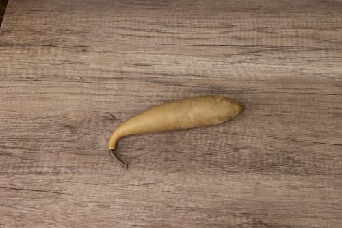 Box of 20 Dried Banana Gourds - Gourds for Crafts and Decorating - Image 7