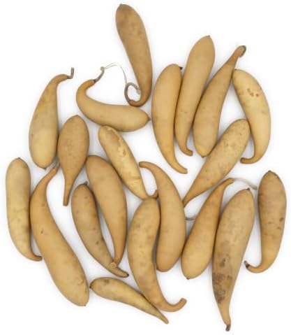 Box of 20 Dried Banana Gourds - Gourds for Crafts and Decorating - Image 2