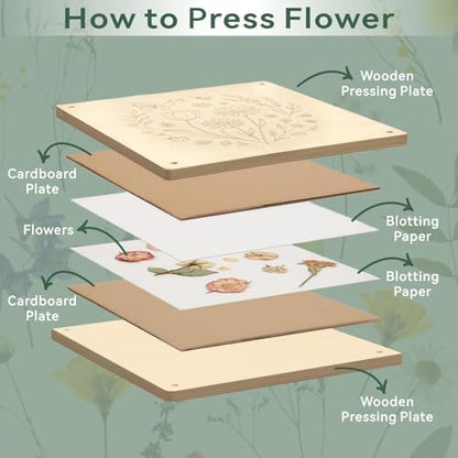 TTUGTTUG Wooden Flower Press Kit, 10" x 10" Large Pressed Flowers for Adult - Image 5
