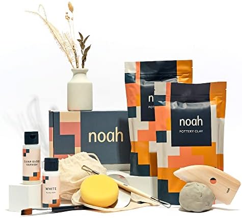 noah Pottery Kit for Beginners - Set Includes Air Dry Clay, Clay Tools and Acrylic Paints - Crafts for Adults (White Clay/White Paint) by NoahsBox