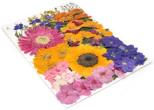 18 Types 75 Pcs Dried Pressed Leaves Flowers Real Natural Dried Plant for DIY Art Crafts, Candle Soap Making, Jewelry, Card Decorations, Phone Case - Image 7