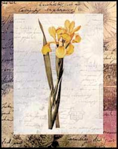 DSC Iris Monnieri Flower - Paper Tole 3D Decoupage Craft Kit Size 8x10 inches K8-184 by DSC