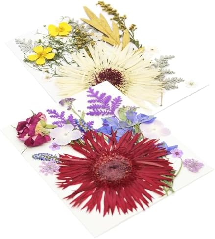 17 Types 30PCS Real Dried Pressed Flowers Bulk Dried Flower for Crafts, Packed DIY Natural Dried Pressed Flowers for Resin Mold Scrapbooking DIY - Image 4