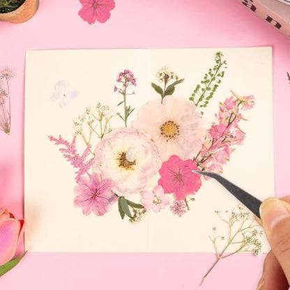 50pcs Pink Pressed Flowers Bulk, Romantic Dried Flower Leaves, Natural Pressed Dried Flowers with Tweezer for DIY Crafts Resin Mold Candles Cake Bridal Scrapbooking Supplies - Image 6