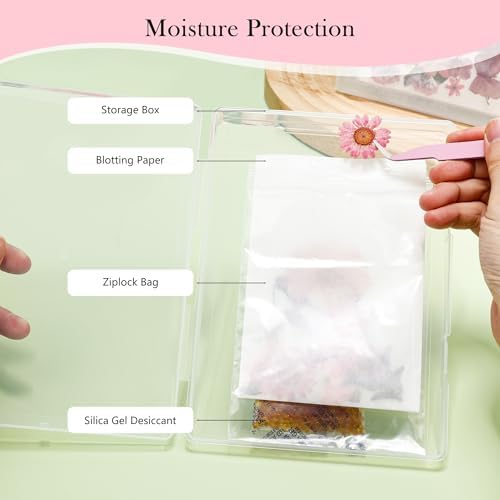 Aboofx 8PCS Dried Flower Storage Set with Blotting Paper,Ziplock Bag and Desiccant,Flower Preservation Kit,Good Seal,High Capacity to Keep Flowers Color&Dry (4pcs 5.7"x2.7"+2pcs 7"x5"+2pcs 12"x8.8") - Image 3