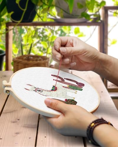 TINDTOP Embroidery Kit for Adult Beginners, Embroidery DIY Starter Kit - Image 4
