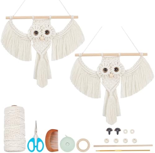 BEUNITONE Macrame Kits for Adults - 2 Set Beginner DIY Macrame Kit with Instructions, Cotton Rope Owl Decoration for Wall and Hallways by BEUNITONE