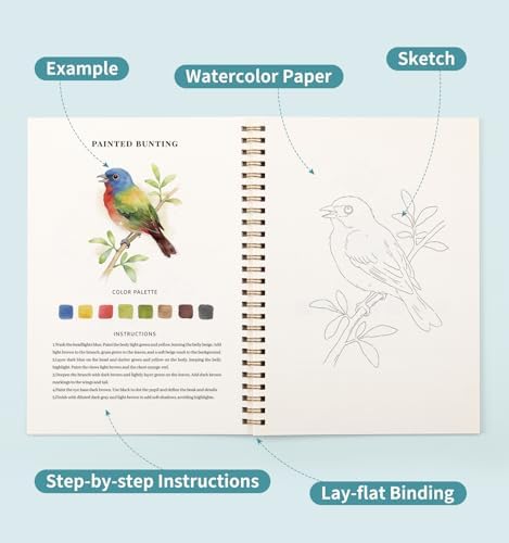 Watercolor Workbook with 12 Bird Patterns, 50 Colors Watercolor Paint Set - Image 5