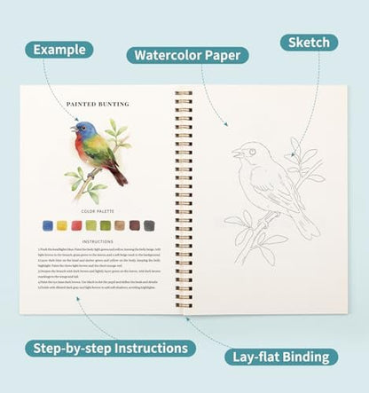 Watercolor Workbook with 12 Bird Patterns, 50 Colors Watercolor Paint Set - Image 5