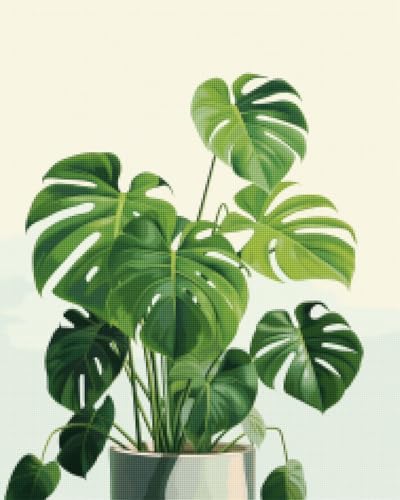 CISDKK Stamped Cross Stitch Kits,Embroidery kit,Illustrated House Plant,able,Monstera,Snake Plant,Peace Lily,Plants,11CT,13.39 * 17.33 inch by Unknown