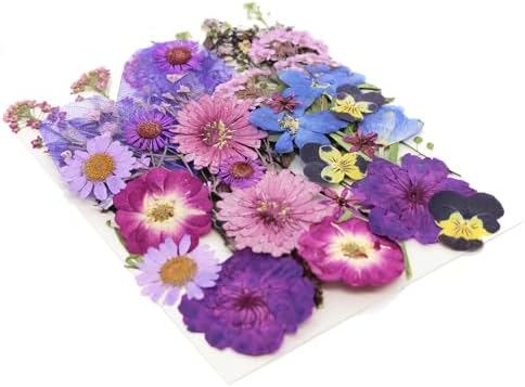 40 Pcs Purple Dried Pressed Flowers Real Natural for Scrapbooking Art Crafts DIY Gift Papermaking Resin Party Decorations Candle Soap Card Jewelry Making Supplies - Image 6