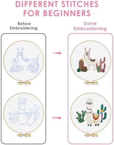 TINDTOP Embroidery Kit for Adult Beginners, Embroidery DIY Starter Kit - Image 3