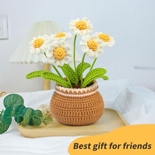 Iuuidu Crochet Kits for Beginners, 2PCS Crochet Flower Kit Sunflower - Image 6