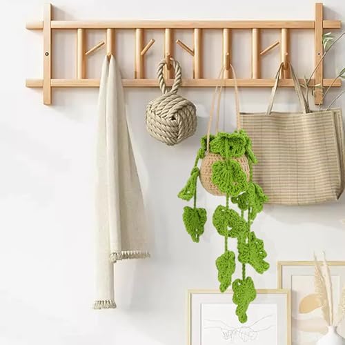 KyeeaDIY Crochet Kit for Beginners, Crochet Starter Kits, Hanging Potted Plants Knitting Crocheting Kits with Step-by-Step Video Tutorials, Complete Crochet Kit for Adults Decoration (Hanging Plants) - Image 3