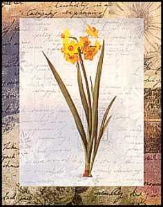 DSC Narcissus Lazetta Flowers - Paper Tole 3D Decoupage Craft Kit Size 8x10 inches K8-181 by DSC