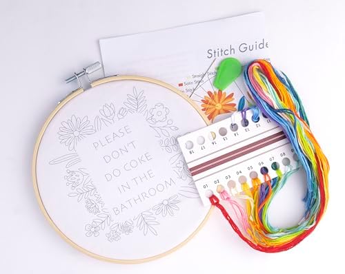 FUNATIC Please Don't Do Coke in The Bathroom Fun Embroidery Kit for Adults - Image 2