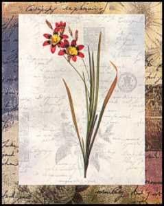 DSC Ixia Tricolor Flowers - Paper Tole 3D Decoupage Craft Kit Size 8x10 inches K8-185 by DSC