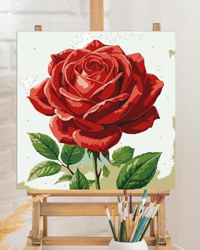 TOCARE Framed Paint by Numbers Kit for Adults Beginner & Kids Ages 8-12,Red Rose Paint by Number Framed, Simple Oil Paint by Number Kits Valentines'Day Gift (10x10 Inch, Without Easel) - Image 4