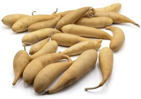 Box of 20 Dried Banana Gourds - Gourds for Crafts and Decorating by MeadowbrookeGourds