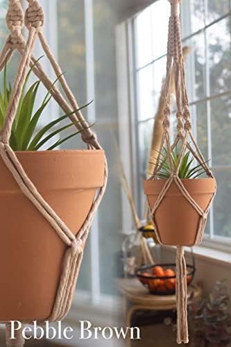 Aesthetic Creative Macrame Kit, Makes 3 DIY Plant Hangers for Teens & Adult Beginners, Craft Supplies for Boho Art Project-3 Custom Color Macrame Cord, Wooden Rings & Instructions - Image 6