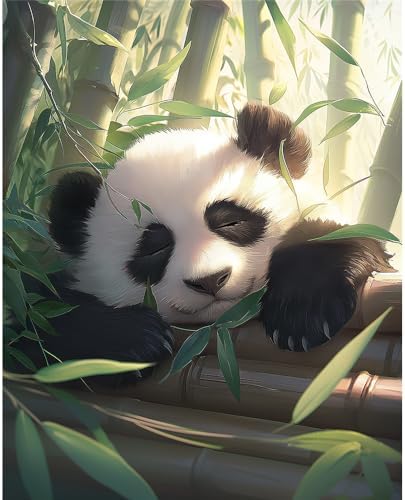 Natuyalo Panda Paint by Numbers Kit for Adults - Animal Paint by Number on Canvas Without Frame, DIY Acrylic Painting for Ideal Gift Home Wall Decor (16x20 Inch) by Natuyalo