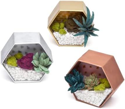 Craft Crush — Mini Plants Terrariums Easy Fun Arts and Craft Kit — Make 3 Charming Faux Terrariums! — For Ages 13 and Up - Image 3