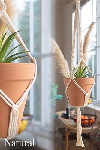 Aesthetic Creative Macrame Kit, Makes 3 DIY Plant Hangers for Teens & Adult Beginners, Craft Supplies for Boho Art Project-3 Custom Color Macrame Cord, Wooden Rings & Instructions - Image 6