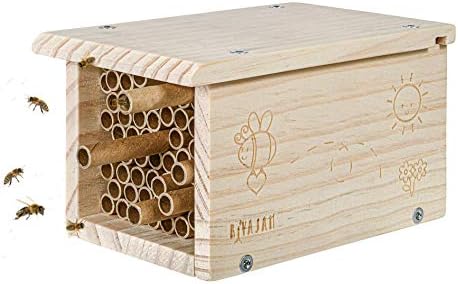Rivajam Build a Bee House DIY Woodworking Project | Solitary Mason Bee House Nesting Box Wood Building Kit & Tools | Garden Arts & Crafts Activities for Toddler Boys & Girls Kids Teens Adults & Family by Inspiringaloveofnatureandtheoutdoors