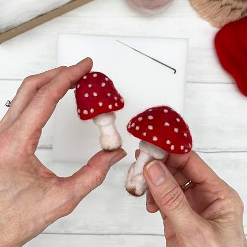 Bergin & Bath Needle Felting Kit, Toadstools - Adult Art Craft Kit for Beginners - Planet Friendly Wools - Image 3