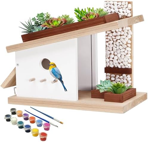 Modern Birdhouse Woodworking Kit, Build Your Own DIY Bird House Kit for Kids and Adults, DIY Woodcraft Building Projects with Paint Set by Rioychan