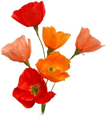 Mybbshower Orange Crepe Paper Poppy Flower DIY Making Kit Home Decoration Table Decor Pack of 24 pcs by Mybbshower