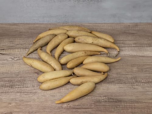 Box of 20 Dried Banana Gourds - Gourds for Crafts and Decorating - Image 4