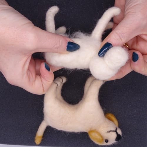 Feltsky 2 Pack Labradors Dog Needle Felting Kits for Beginners DIY Craft Kit Include Everything to Make - Image 6
