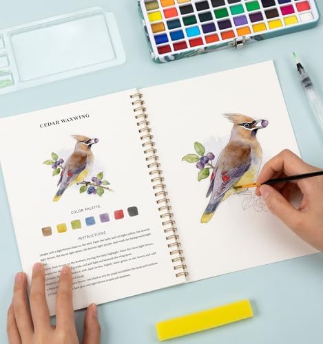 Watercolor Workbook with 12 Bird Patterns, 50 Colors Watercolor Paint Set - Image 7