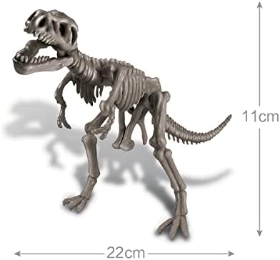 4M | STEAM Dinosaur World Exploration| Hands-On Science Kit with Dinosaur Figures & Fossil Experiments for Kids Ages 5+ - Educational Paleontology Toy Gift - Image 3