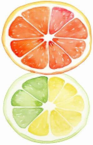 Easy x-stitch Pattern,cross-stitch kits for beginners,Watercolour Citrus Halves Stack Grapefruit Lime Orange Half Stack Slice Half Segment Stack Australian Art Painting Wall,11CT,9.45*13.39 inch by Unknown
