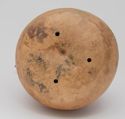 Natural Gourd Birdhouse Blanks for Crafts, 15 Count - Image 5
