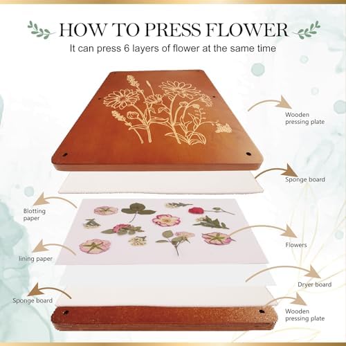 Aboofx Flower Press Kit, 15.7" x 11.8" 6 Layers Flower Pressing Kit - Image 4