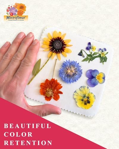 Microfleur Microwave Craft Flower Preservation Press Portable Kit, 5 inch - Image 6