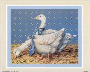 Country Duck - Paper Tole 3D Decoupage Craft Kit Size 8x10 inches 50791 by DSC