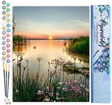 Figured'Art Paint by Numbers Kit for Adults Peaceful Lake 16"x20" - Craft Art Painting DIY Kit Rolled Canvas Without Frame by FiguredArt
