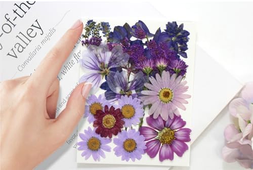 Purple Dried Pressed Flowers Real Natural Petals Bulk for Scrapbooking Art Crafts DIY Gift Papermaking Resin Party Decorations Candle Soap Card Jewelry Making Supplies - Image 6