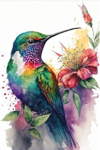Hummingbird Stamped Cross Stitch Kits，Needlepoint Cross-Stitch Patterns Dimensions Needlecrafts Embroidery Kits，DIY Art Bird Home Wall Decor Perfect for Relaxation 15.7x11.8 Inches by Unknown